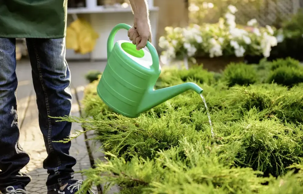 Hausmeisterdienste Gießen, Gartenarbeiten, Grabpflege 1000x640