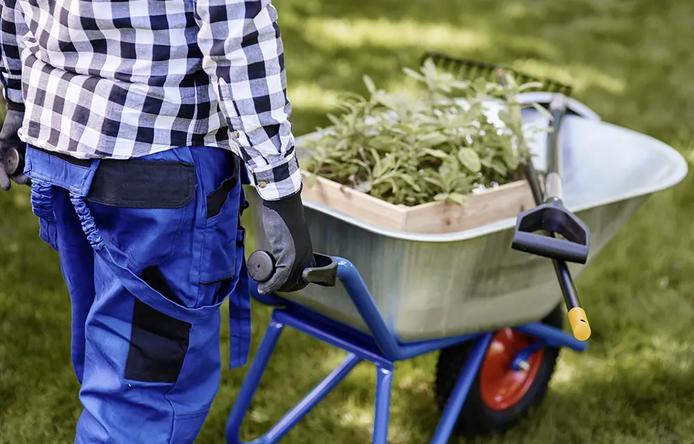 Hausmeisterdienste Pflanzung Grabpflege 1000x640